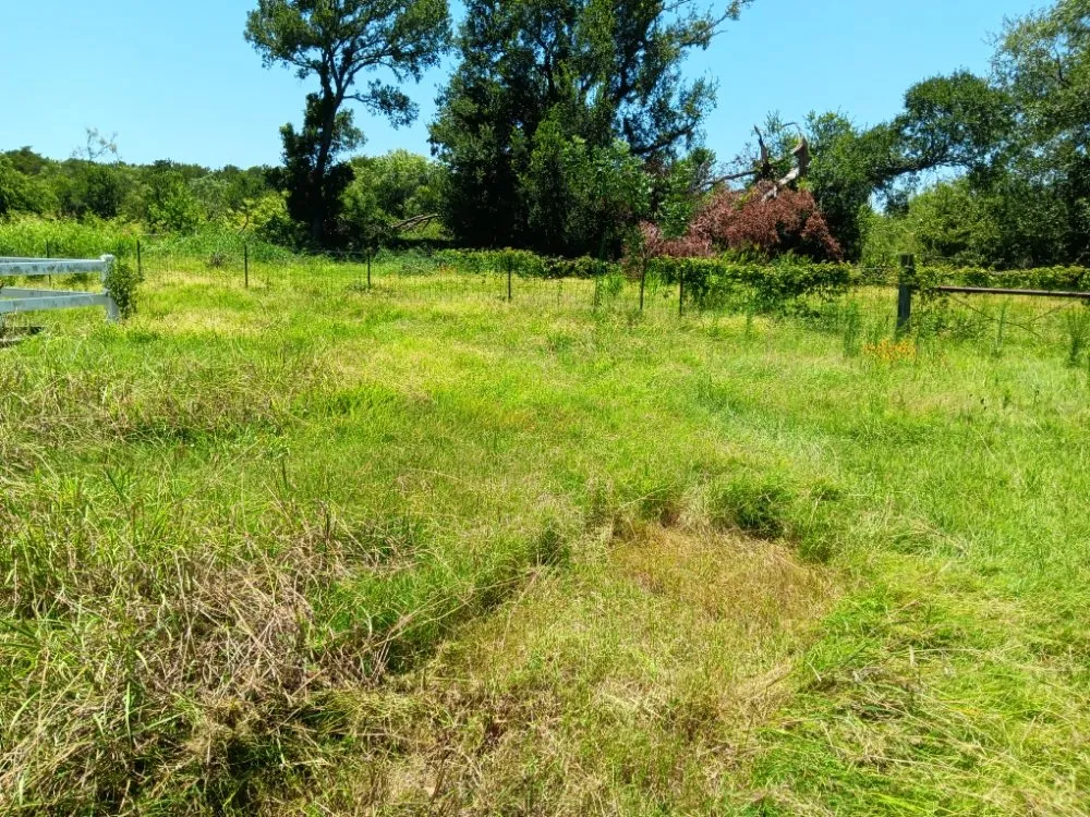 Trusted lawn care service in Waco, TX - Off The Top Texas Lawn Care