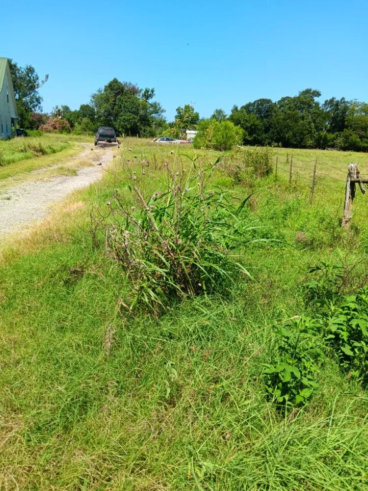 Expert lawn mowing service for homes across Waco, TX - Off The Top Texas Lawn Care