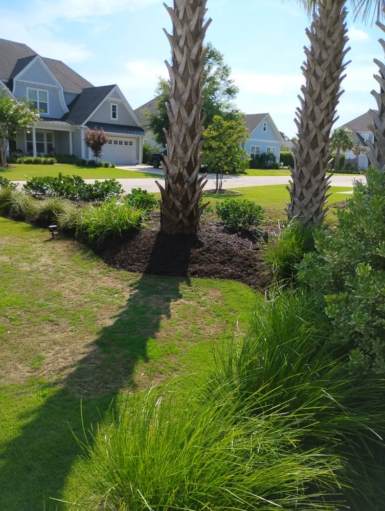 Affordable garden landscaping with custom design across Jacksonville, NC - Official Cutz