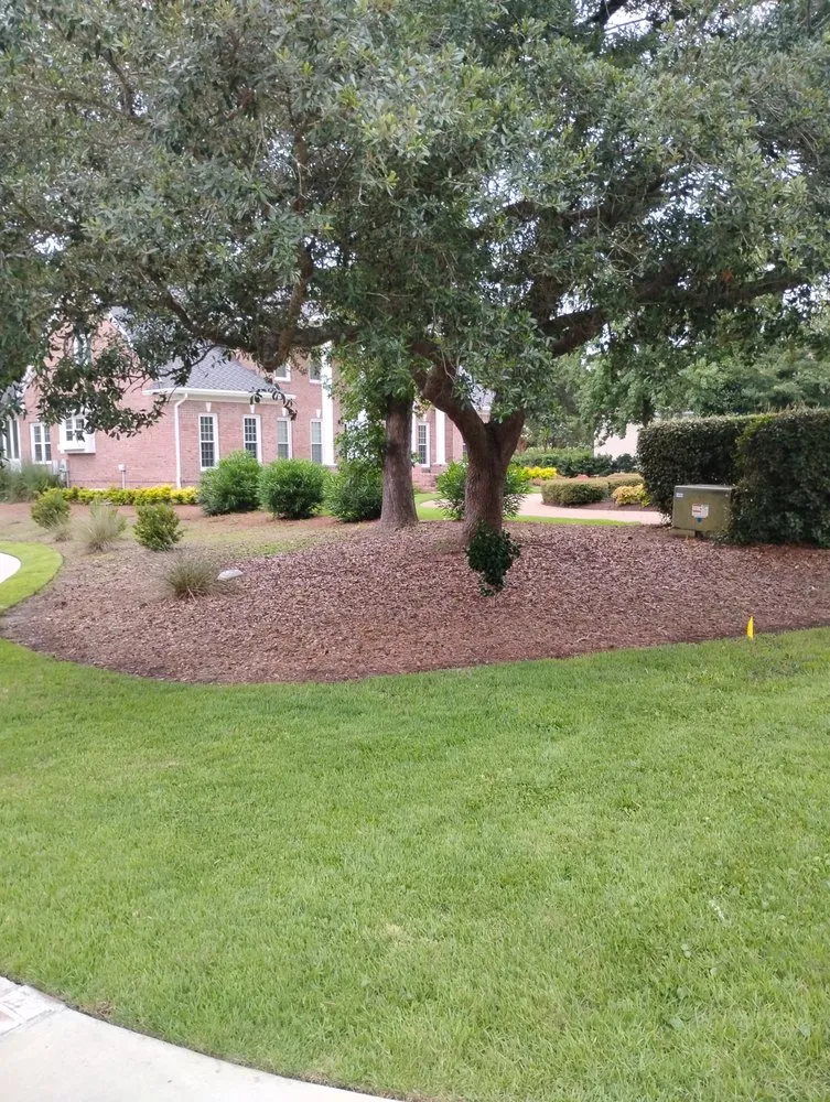 Expert landscape design experts serving Jacksonville, NC - Official Cutz