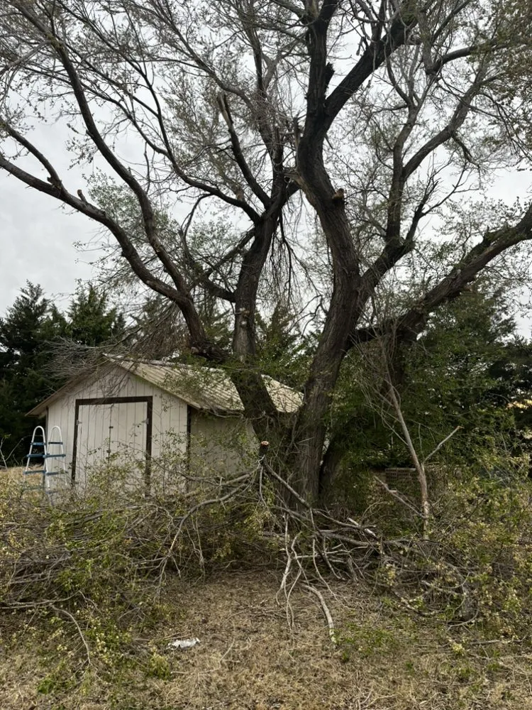 Local outdoor landscaping in Kismet, KS - Official Landscape
