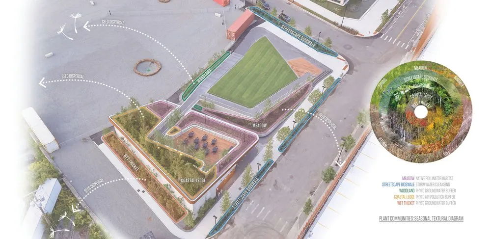 Local garden landscaping for year-round maintenance across Boston, MA - Offshoots Productive Landscapes