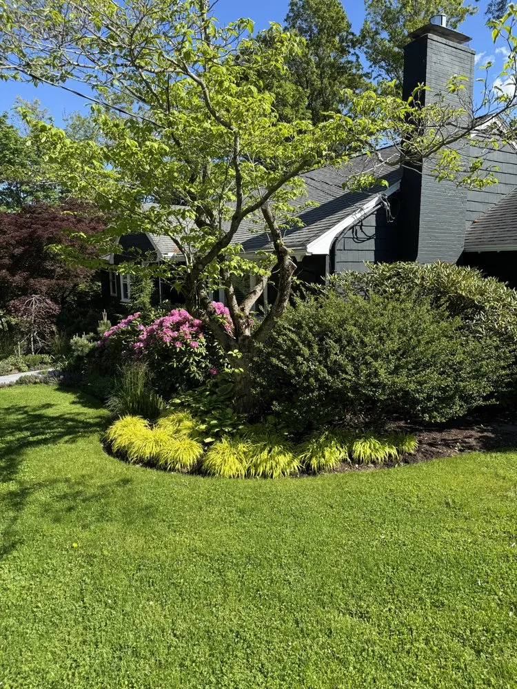 Affordable lawn care service for beautiful yards in Boston, MA by Offshoots Productive Landscapes