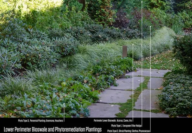 Local residential landscaping near you in Boston, MA by Offshoots Productive Landscapes