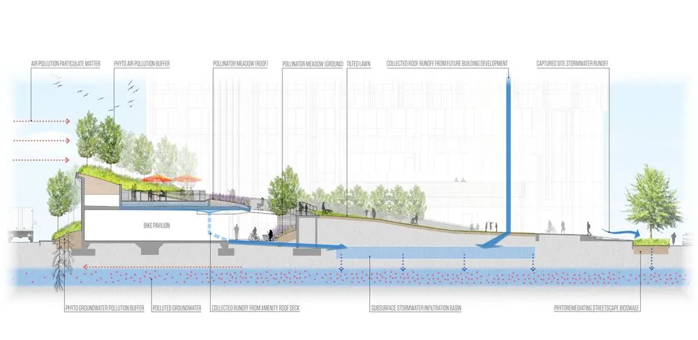 Affordable landscaping services for year-round maintenance in Boston, MA by Offshoots Productive Landscapes