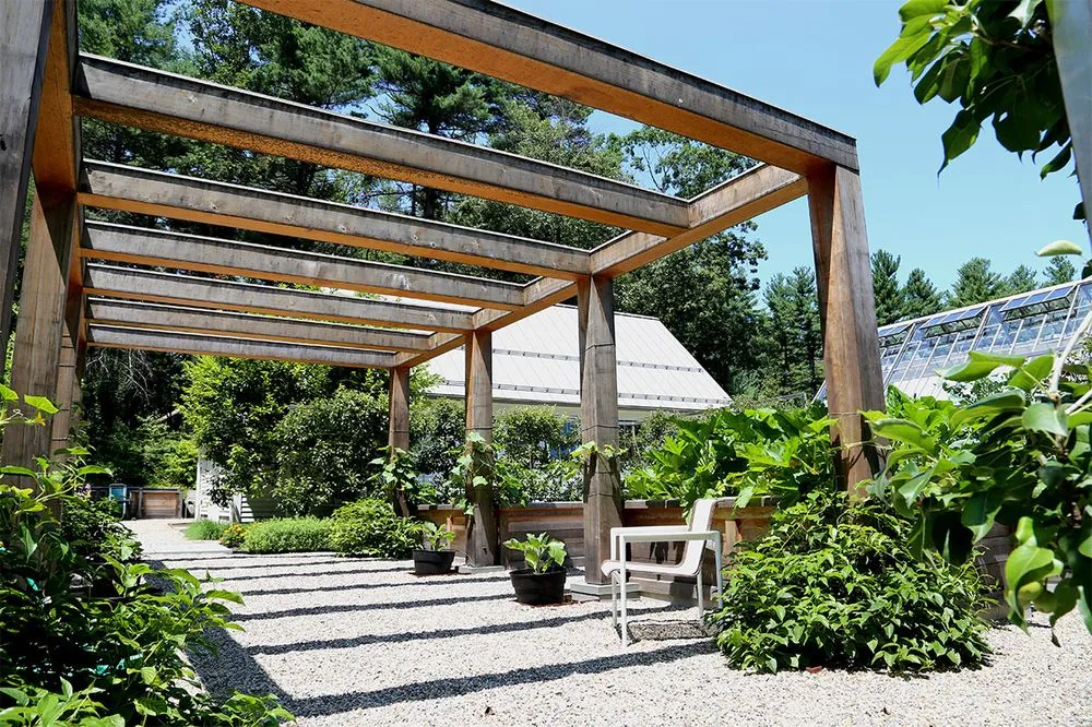 Professional garden landscaping in Boston, MA - Offshoots Productive Landscapes