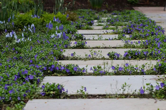 Professional yard cleanup service for year-round maintenance across Boston, MA - Offshoots Productive Landscapes