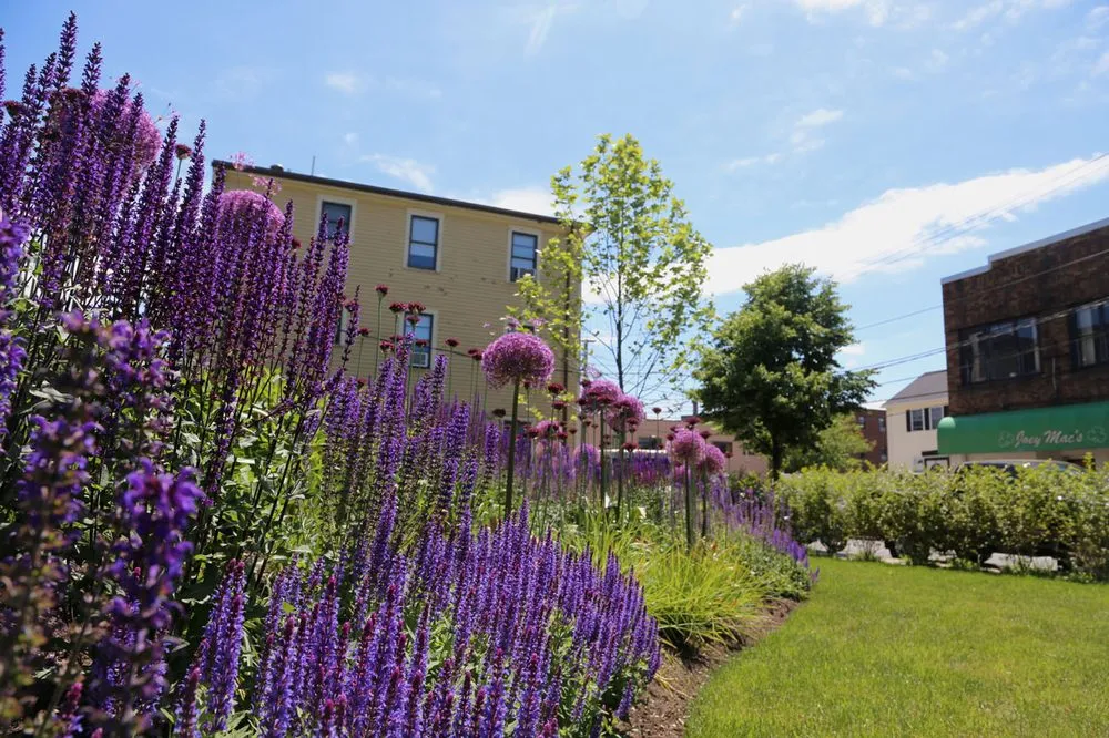 Reliable landscaping services in Boston, MA - Offshoots Productive Landscapes