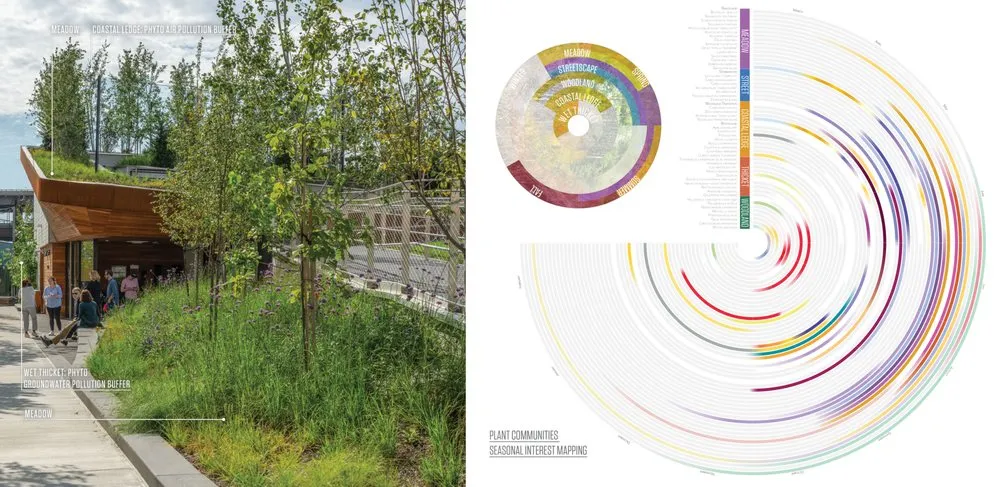 Professional landscape design in Boston, MA by Offshoots Productive Landscapes