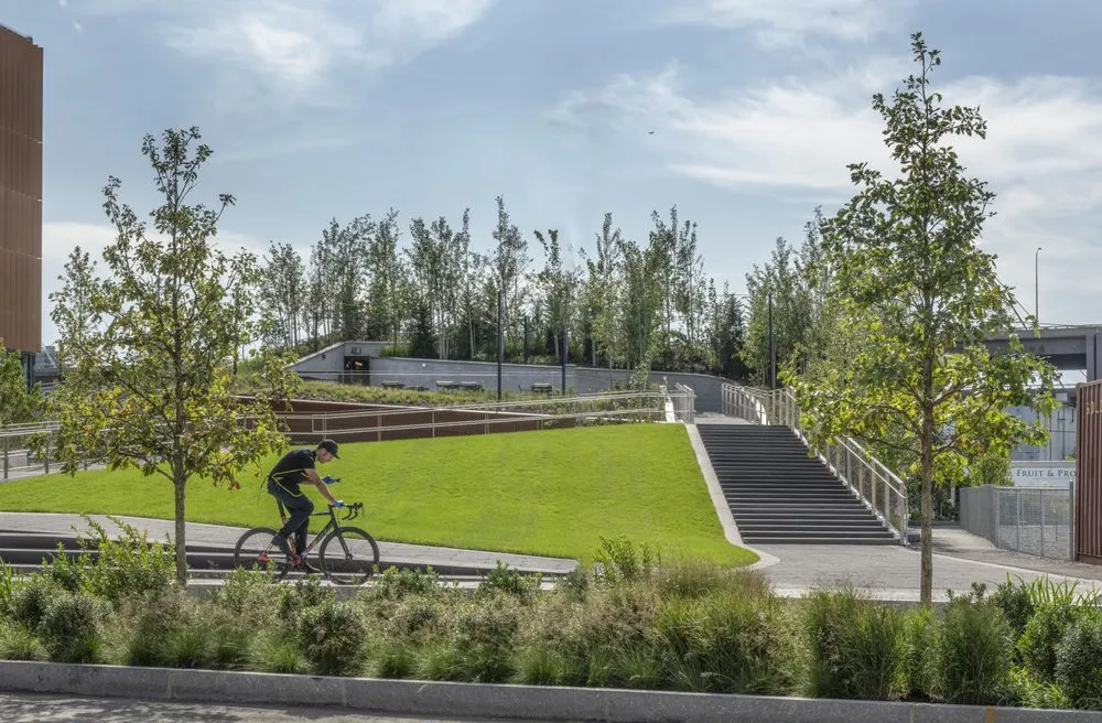 Trusted landscaping services for year-round maintenance across Boston, MA - Offshoots Productive Landscapes