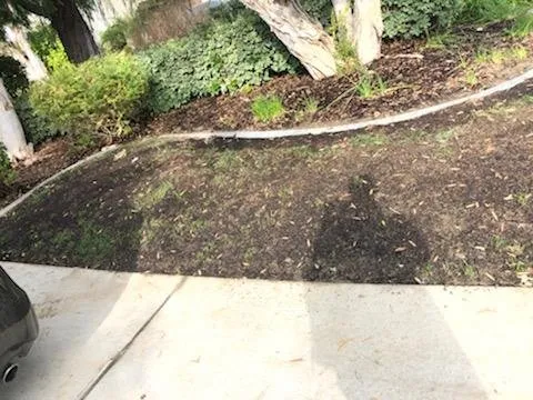 Trusted yard cleanup service for year-round maintenance in Cardiff, CA by Offshore Landscaping & Maintenance
