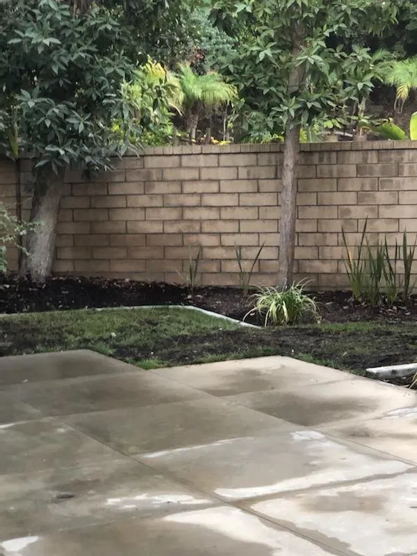 Top-rated garden landscaping for year-round maintenance across Cardiff, CA - Offshore Landscaping & Maintenance