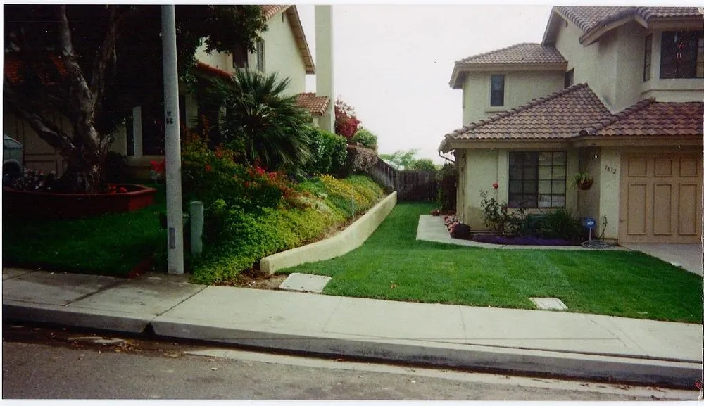 Affordable yard cleanup service in Cardiff, CA by Offshore Landscaping & Maintenance