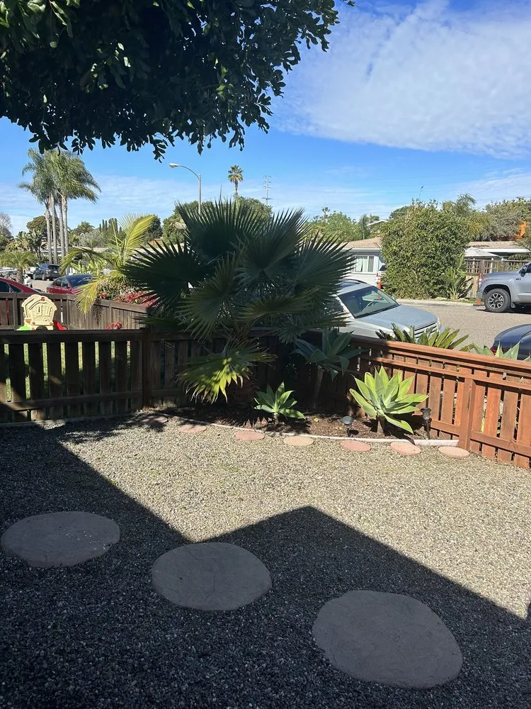 Professional yard cleanup service for beautiful yards in Cardiff, CA by Offshore Landscaping & Maintenance