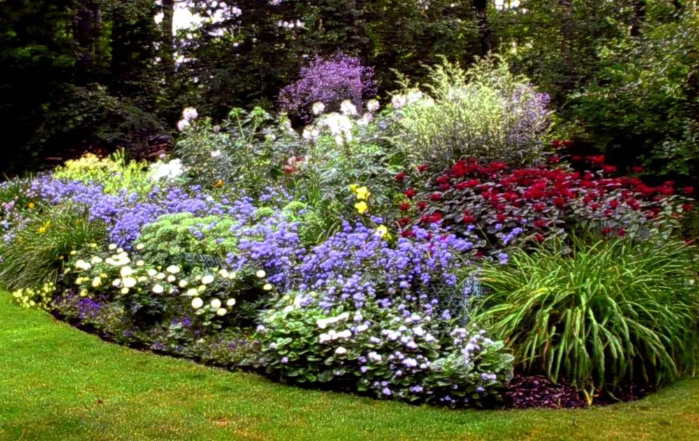 Reliable landscaping services for residential properties in Cardiff, CA by Offshore Landscaping & Maintenance