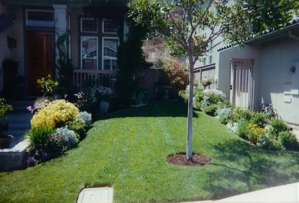 Top-rated landscaping services with custom design across Cardiff, CA - Offshore Landscaping & Maintenance