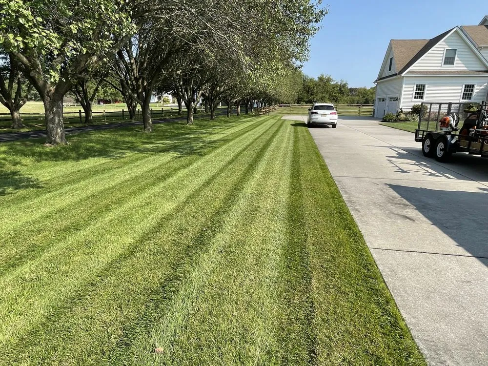 Trusted landscape design in North Cape May, NJ - Offshore Lawn Care