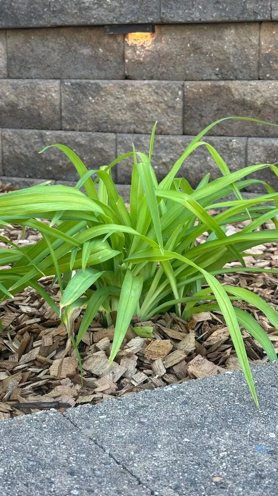 Top-rated landscape design for homes in Inver Grove Heights, MN by OG Landscape Services