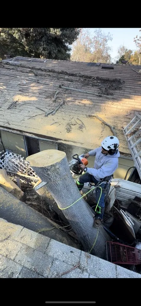 Reliable yard cleanup service for homes across Hollister, CA - OG Landscaping & Tree Trimming