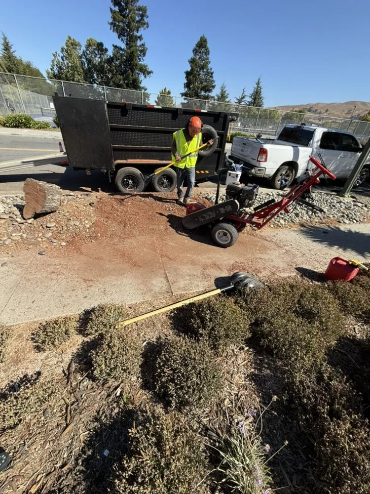 Reliable garden landscaping experts serving Hollister, CA - OG Landscaping & Tree Trimming
