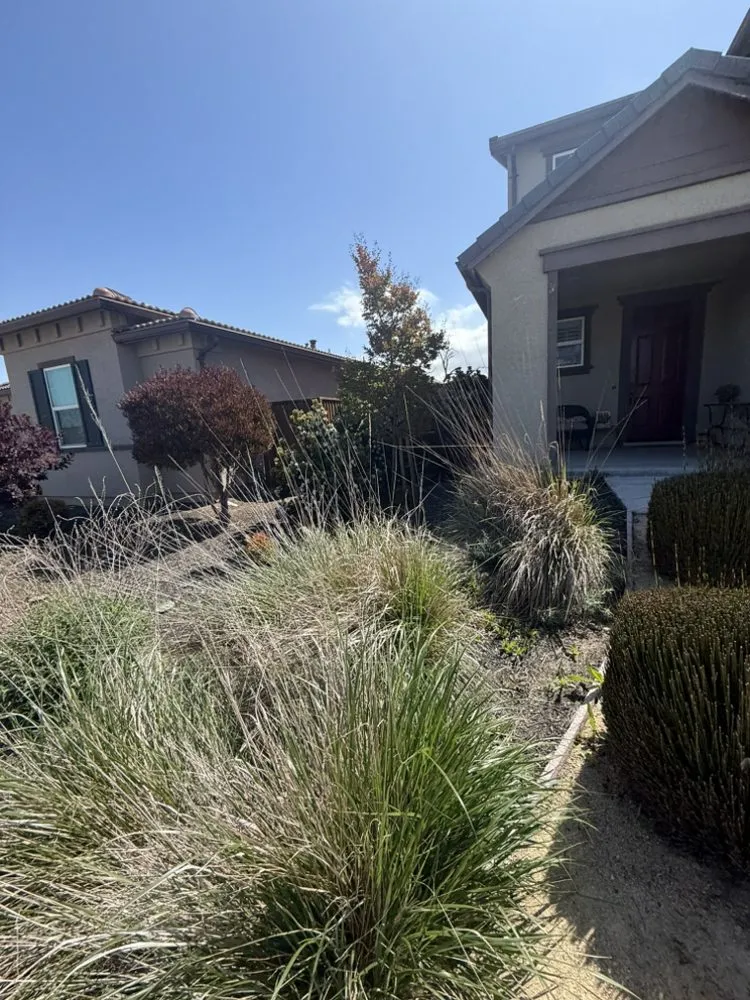 Reliable residential landscaping for residential properties in Hollister, CA by OG Landscaping & Tree Trimming
