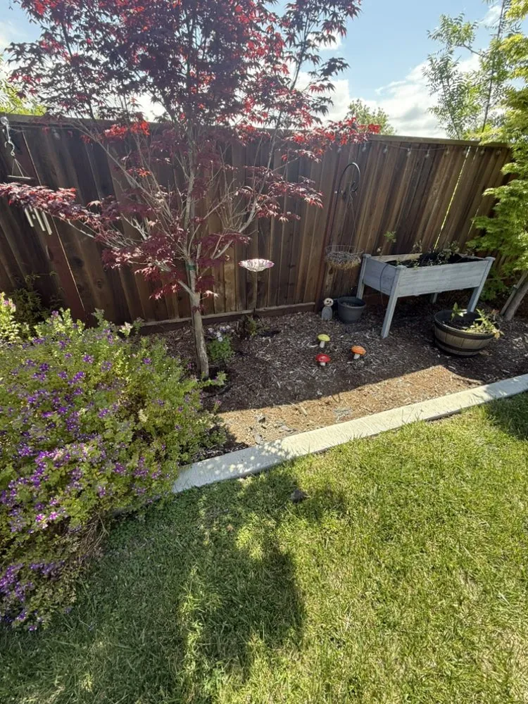 Expert residential landscaping in Hollister, CA - OG Landscaping & Tree Trimming