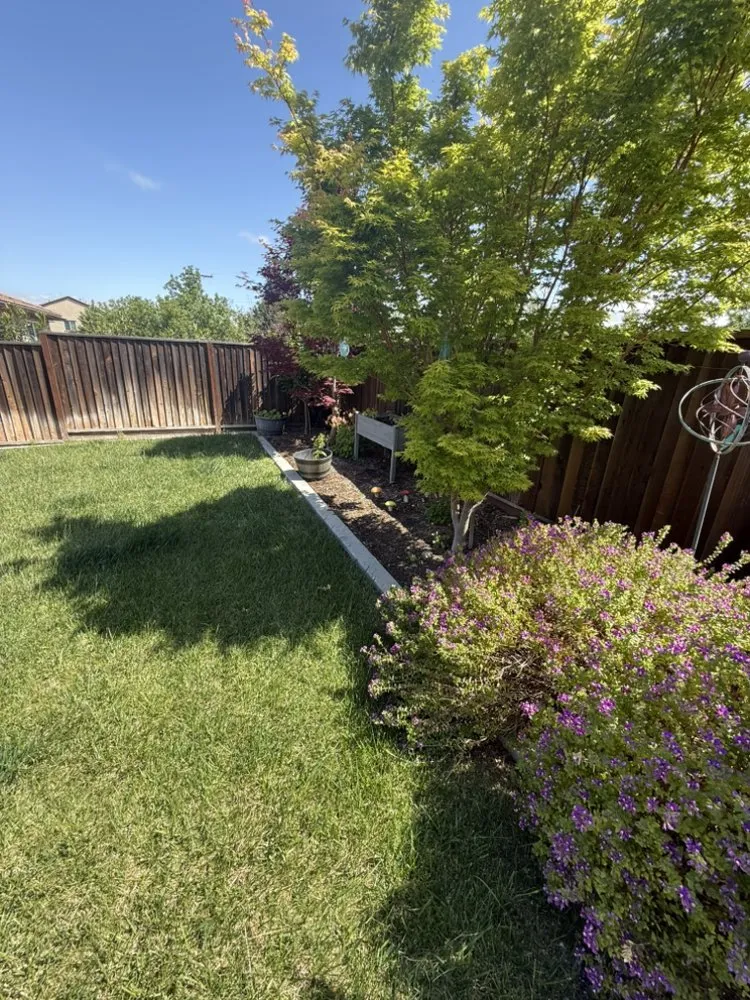 Affordable landscaping services for beautiful yards in Hollister, CA by OG Landscaping & Tree Trimming