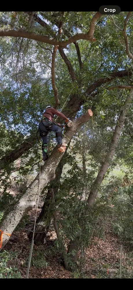 Expert garden landscaping for residential properties in Hollister, CA by OG Landscaping & Tree Trimming