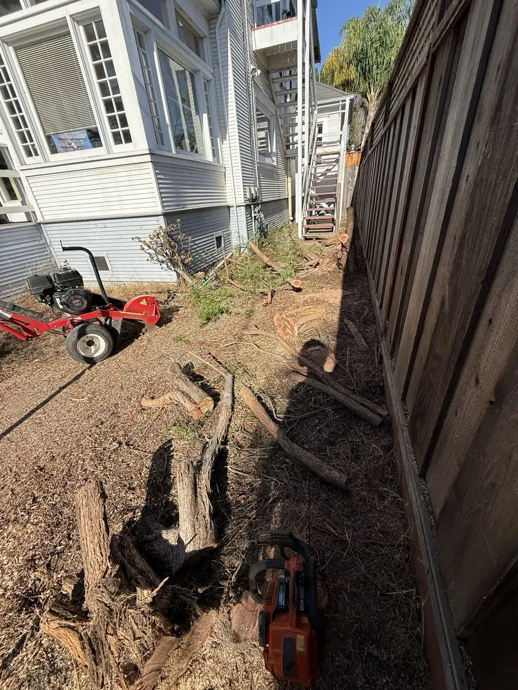 Trusted lawn mowing service with custom design across Hollister, CA - OG Landscaping & Tree Trimming