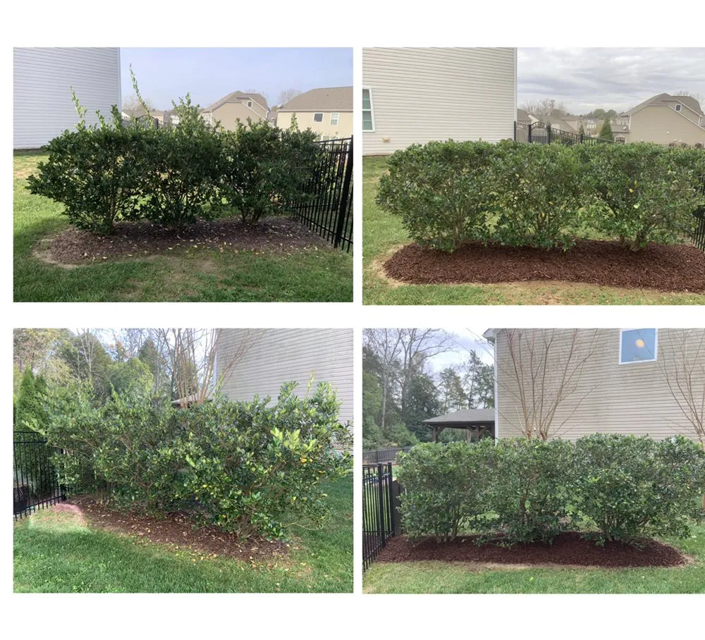 Reliable garden landscaping in Charlotte, NC - OG Lawn Care