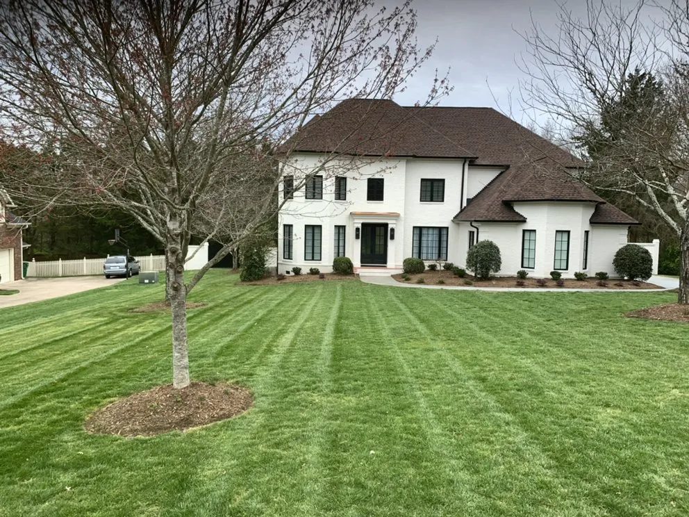Trusted yard cleanup service experts serving Charlotte, NC - OG Lawn Care