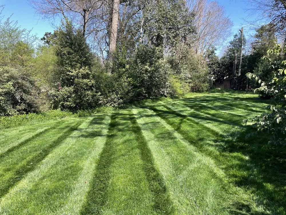 Top-rated lawn care service experts serving Charlotte, NC - OG Lawn Care