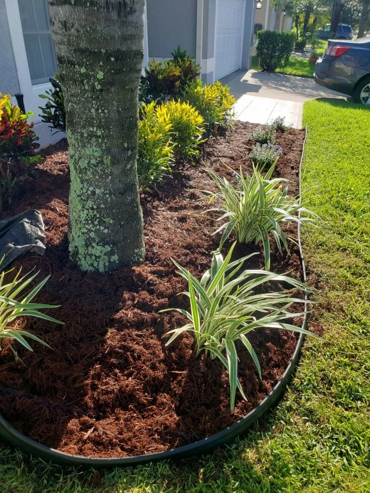 Affordable landscaping services in Lake Hamilton, FL by OG Lawn Pros