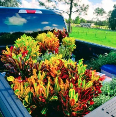 Expert lawn mowing service experts serving Lake Hamilton, FL - OG Lawn Pros