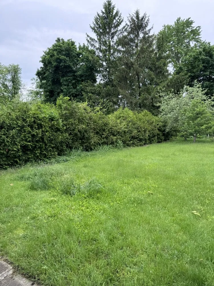 Affordable lawn care service for homes across Schenectady, NY - OG Snow & Lawn Care