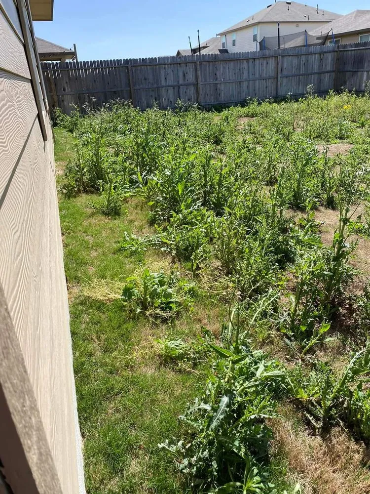 Trusted yard cleanup service in Schenectady, NY - OG Snow & Lawn Care