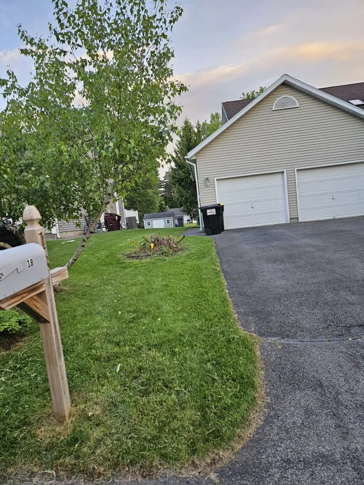 Top-rated yard cleanup service in Schenectady, NY - OG Snow & Lawn Care