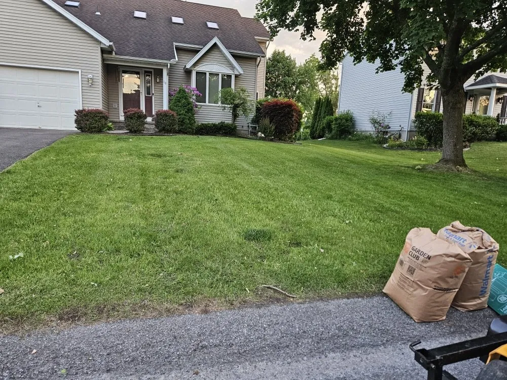 Affordable yard cleanup service in Schenectady, NY - OG Snow & Lawn Care