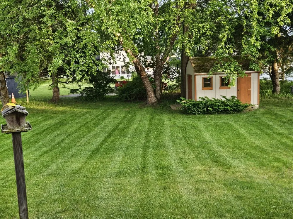 Top-rated lawn care service near you in Schenectady, NY by OG Snow & Lawn Care