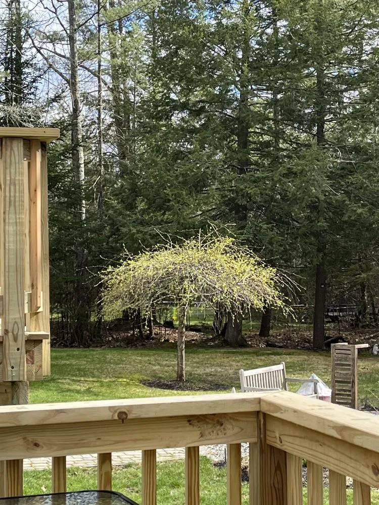 Custom lawn mowing service near you across Westbrook, ME - O’Gara Lawncare