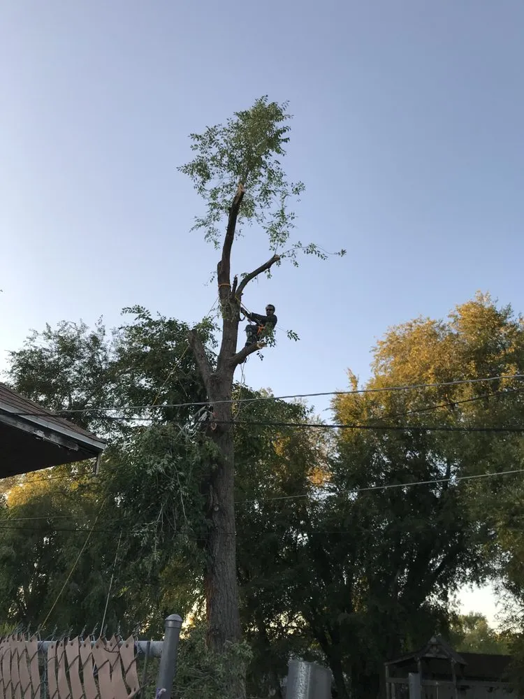 Professional lawn mowing service experts serving Ogden, UT - Ogden Lawn and Landscaping