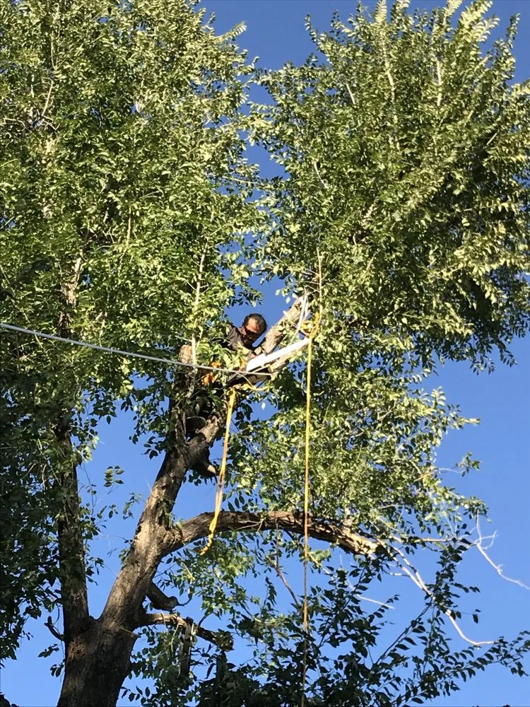 Trusted outdoor landscaping in Ogden, UT - Ogden Lawn and Landscaping