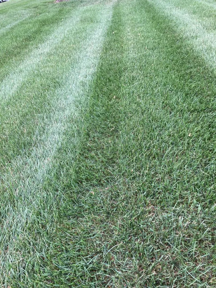 Affordable residential landscaping in Cedar e Bethl, MN by Oggs Lawn Care