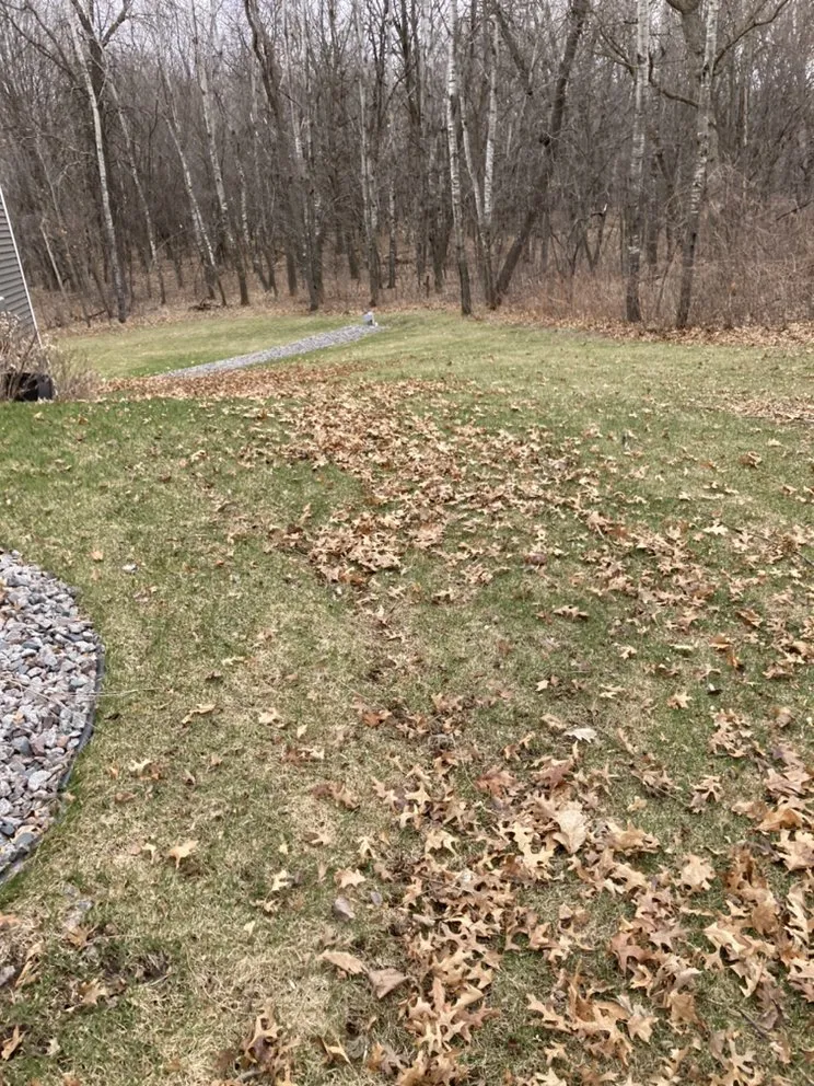 Trusted yard maintenance for beautiful yards across Cedar e Bethl, MN - Oggs Lawn Care