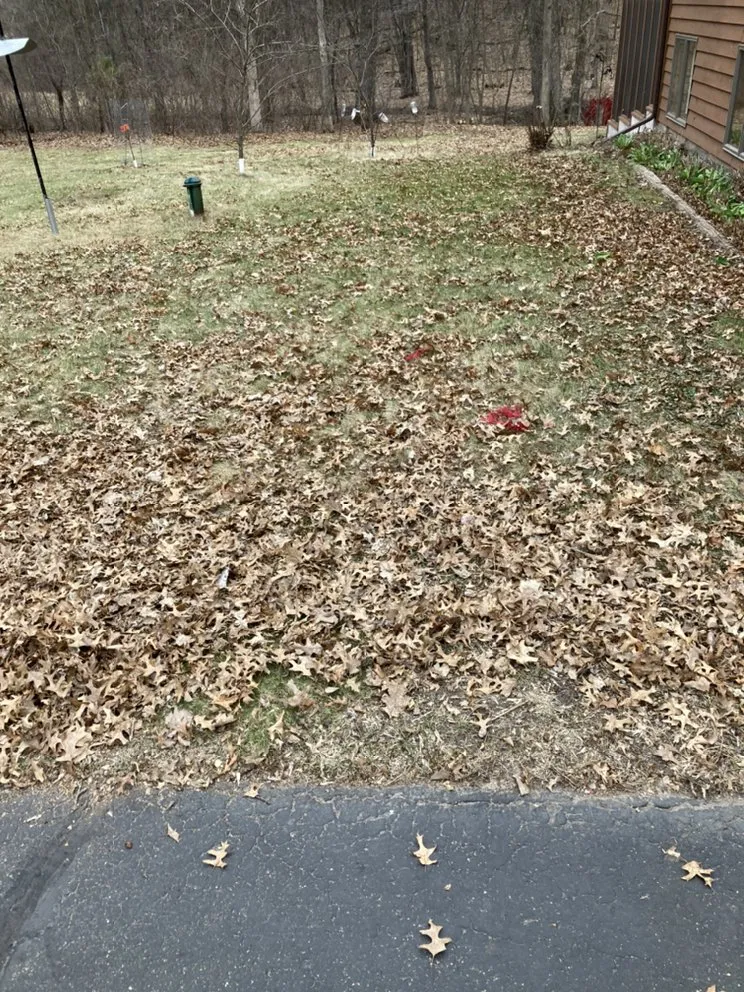 Professional yard cleanup service experts serving Cedar e Bethl, MN - Oggs Lawn Care