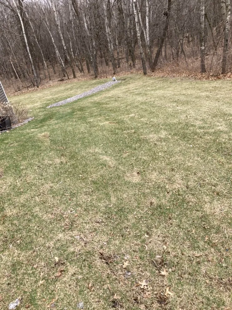 Top-rated residential landscaping in Cedar e Bethl, MN by Oggs Lawn Care