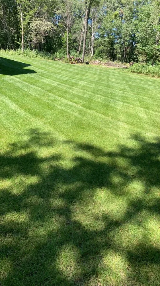 Professional yard cleanup service in Cedar e Bethl, MN by Oggs Lawn Care