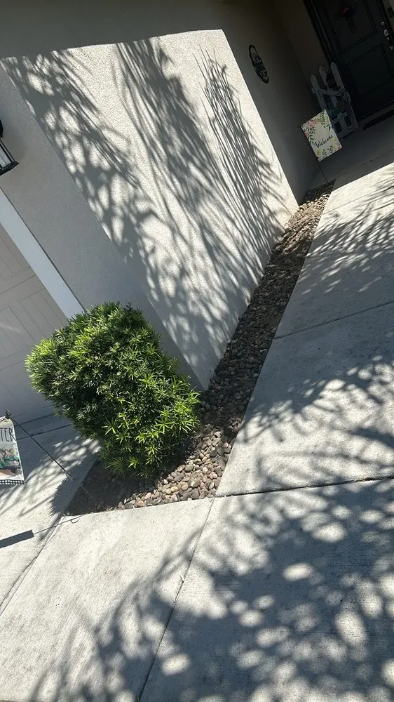 Top-rated yard maintenance in Groveland, FL by Ogle Tree Services