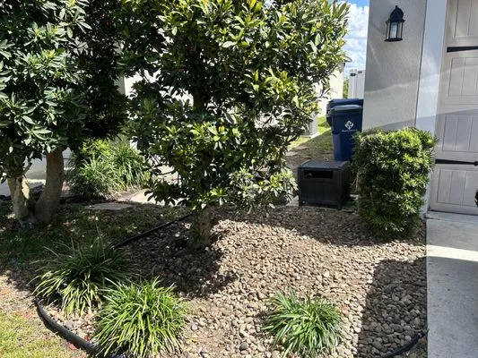 Ogle Tree Services Logo