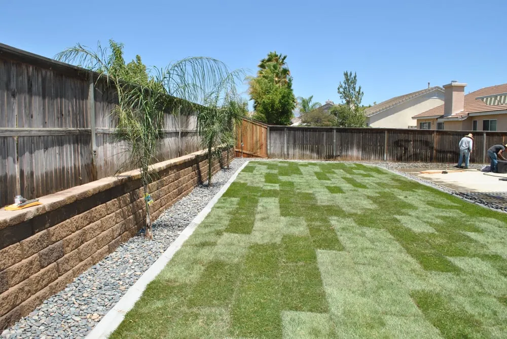 Expert landscape design in Nuevo, CA - Ogots Landscape